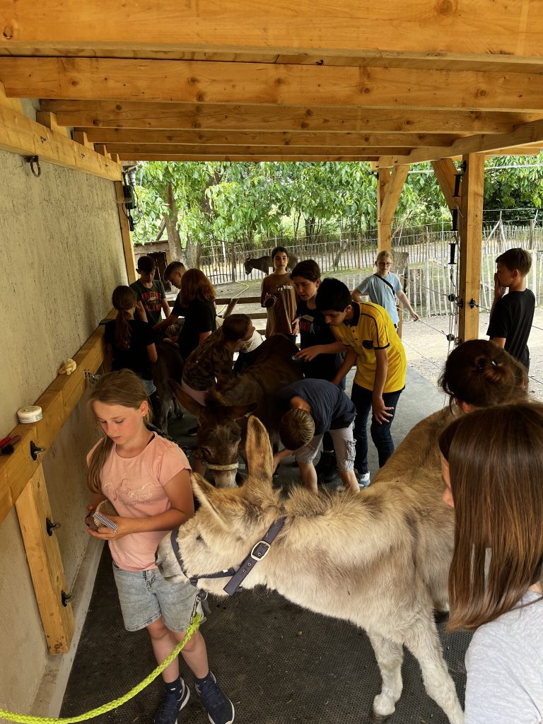 Kindergeburtstag in Buller&Bü – Ein echt  tierischer Geburtstag!