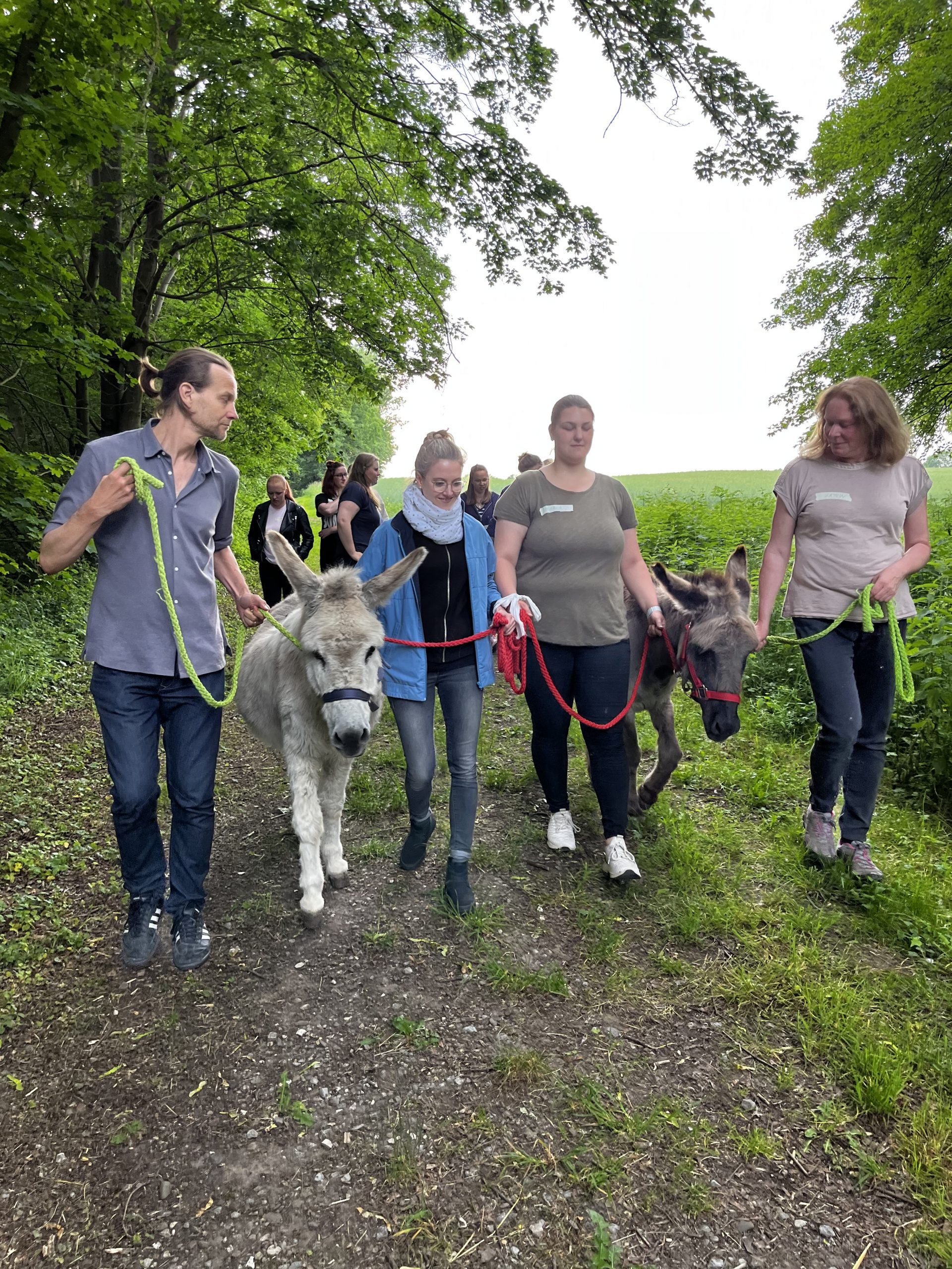 Teamarbeit mit Eseln – Aufgaben im Parcours